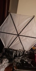 هذا شكل الطياره بعد الانتهاء من صنعها 