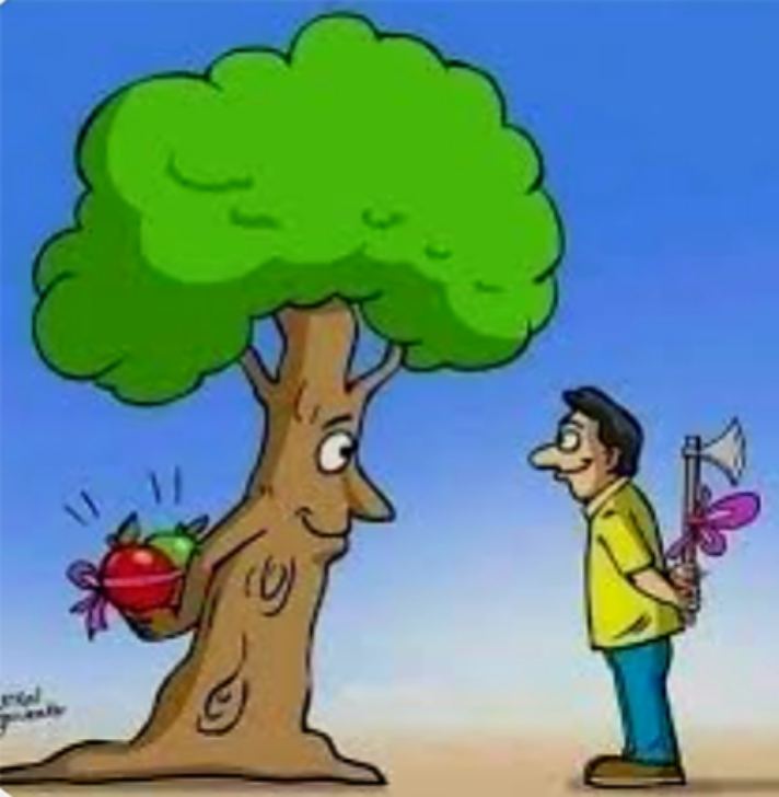 مفاتيح الأخلاق .. لا تكن بذيئًا لتكون محمودًا عند الله والناس … صفات المسلم الحق  … ✍️ كتب … الشريف المستشار إسماعيل الأنصاري