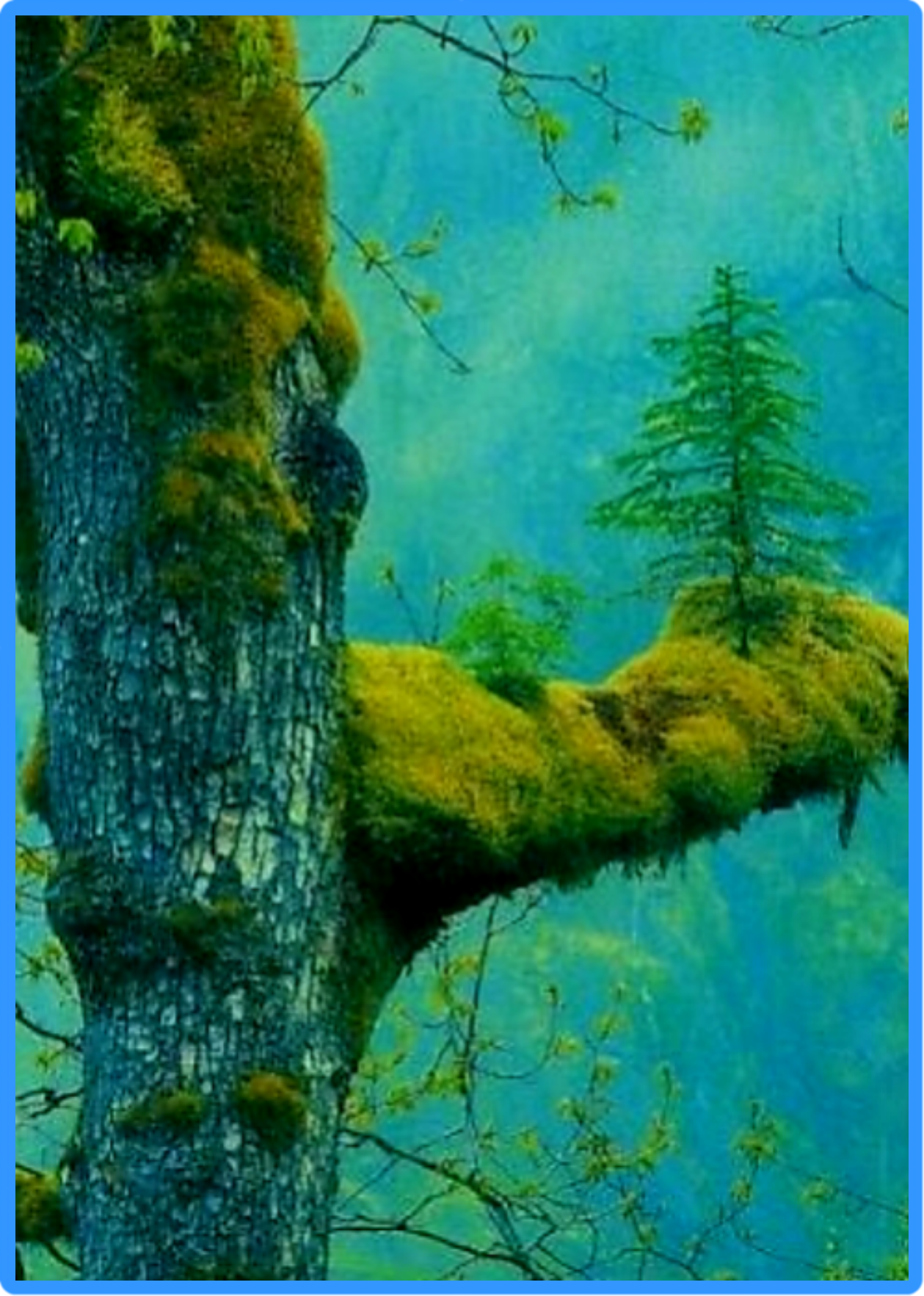 هل تؤمنون بالله حقا … كتب الشريف المستشار إسماعيل الأنصاري