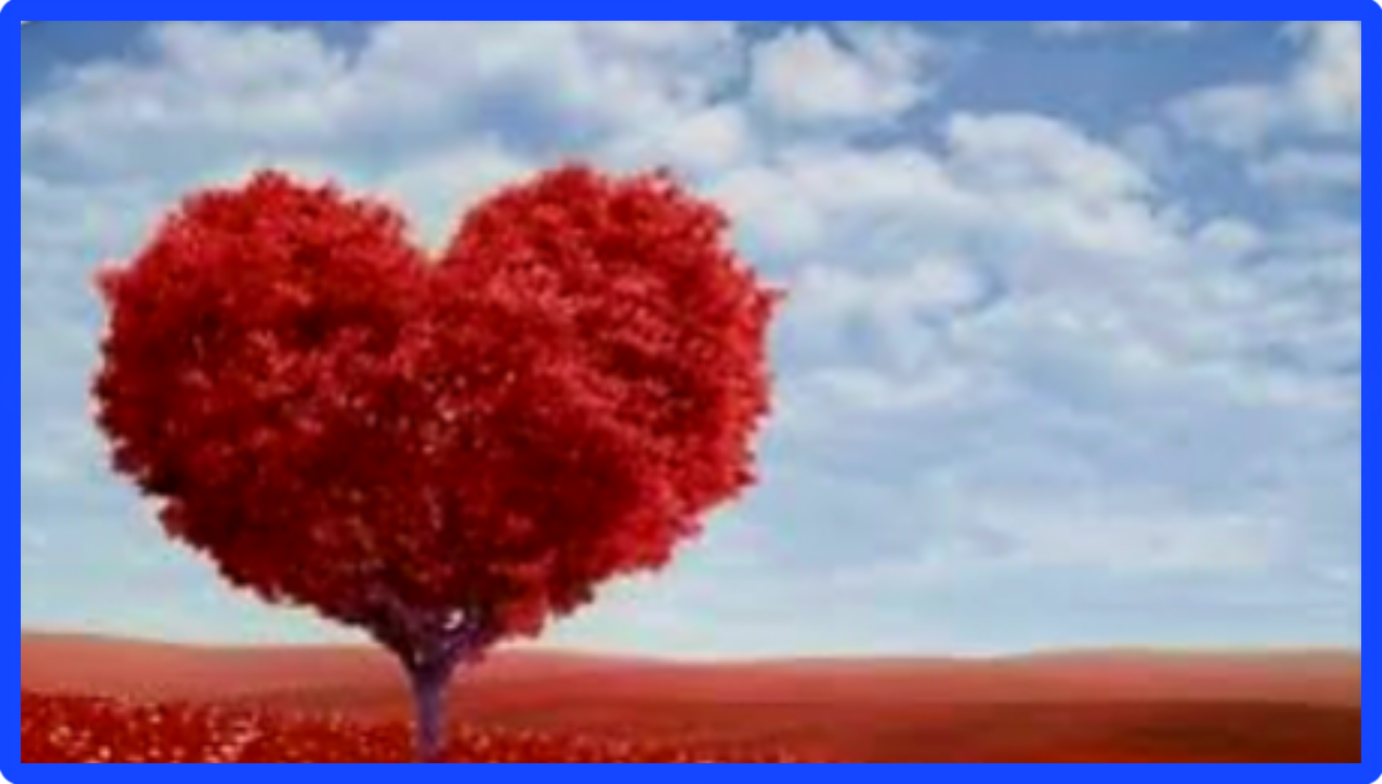 مساحات الحب … كتب الشريف المستشار إسماعيل الأنصاري