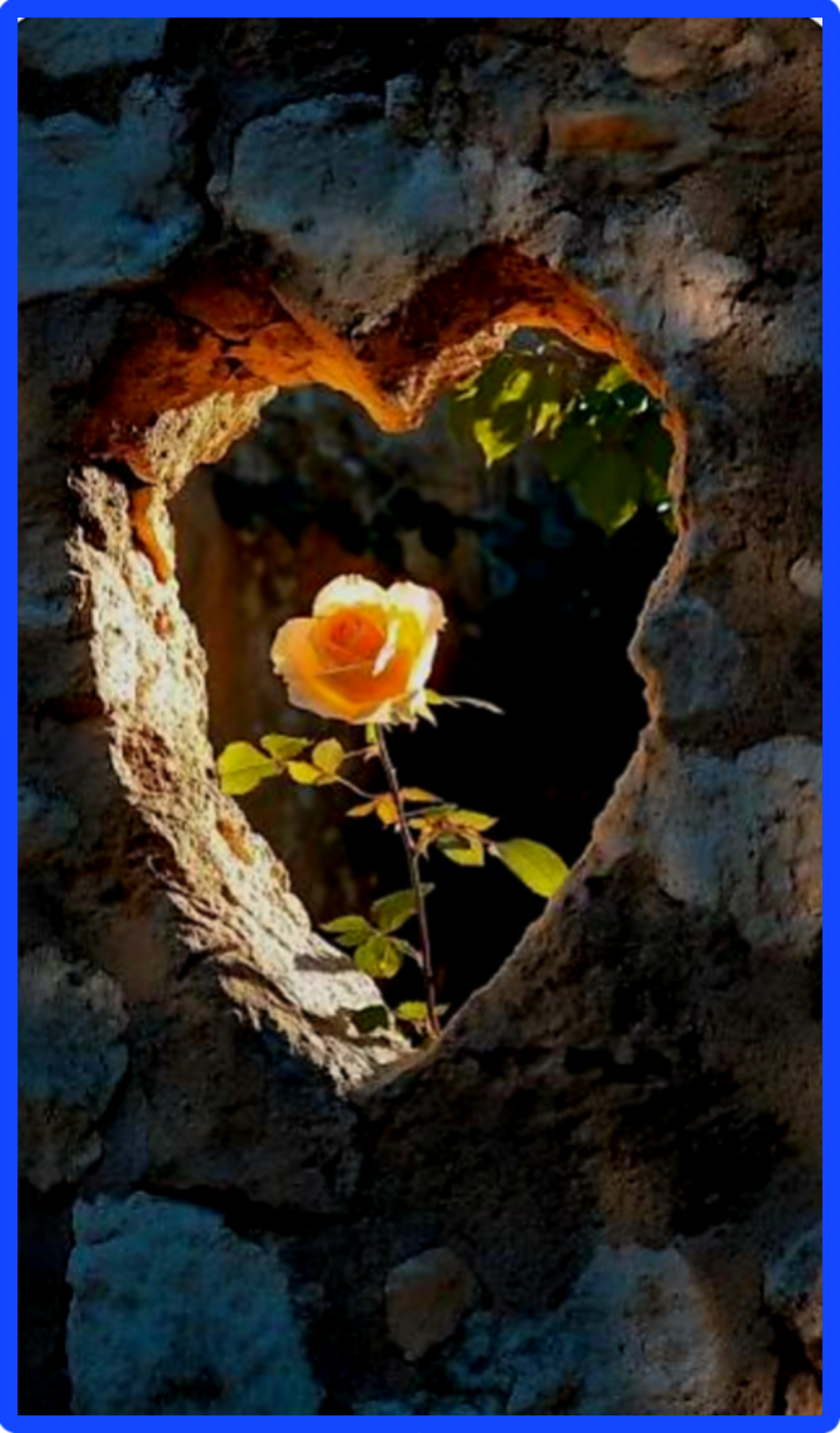 عندما يغيب الحب …. كتب الشريف المستشار إسماعيل الأنصاري